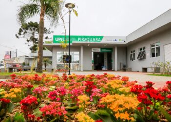 Concurso Paraná Saúde: níveis médio e superior!