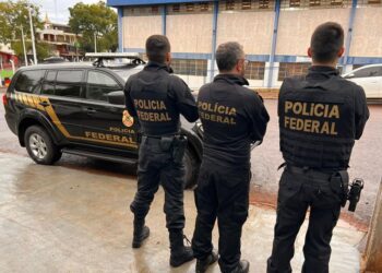A contratação de novos servidores é vista como urgente e o Sindicato dos Servidores Administrativos da Polícia Federal (SinpecPF) fez esse apontamento. Imagem: Governo Federal