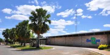 EMBRAPA Prevê Novo Concurso Público e Oferta Mais De 800 Vagas Efetivas. Imagem: Agência Brasil.